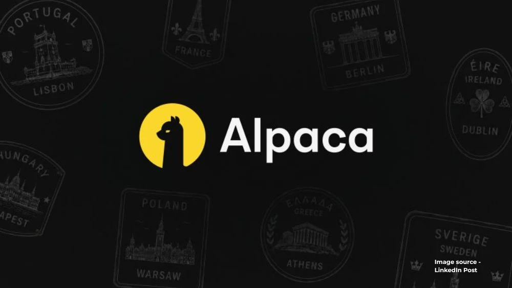 Alpaca